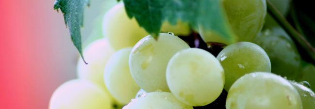 someone took a close-up of grapes, idk man.